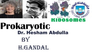 Dr. Hesham Abdulla
By
h.Gandal
*
Ribosomes
 