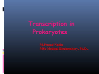 Transcription in
Prokaryotes
M.Prasad Naidu
MSc Medical Biochemistry, Ph.D,.
 