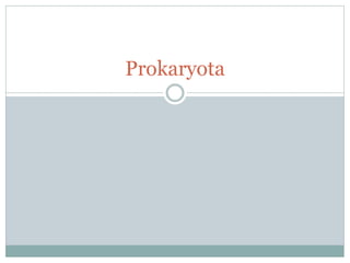 Prokaryota
 
