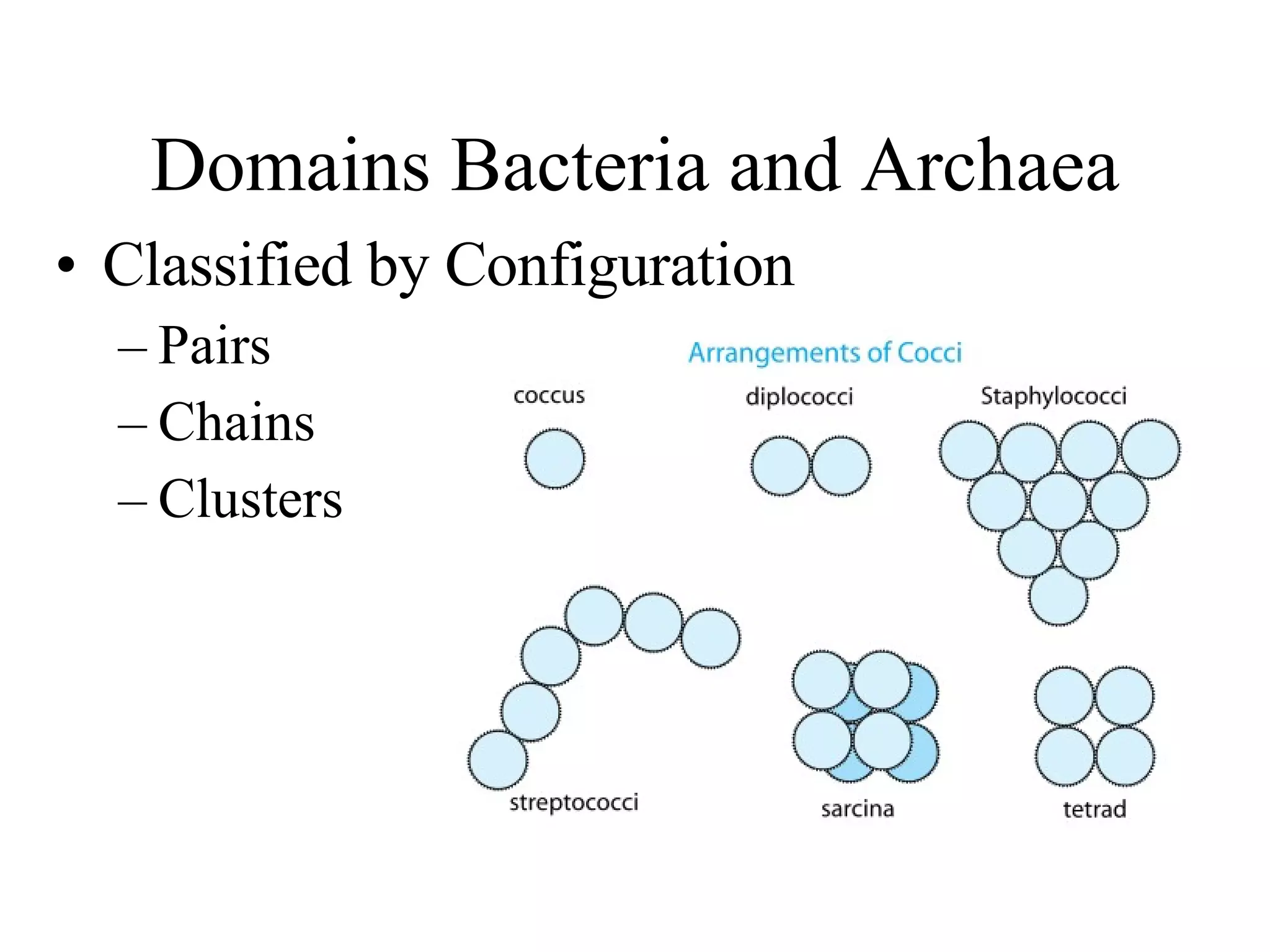 Domains Bacteria and Archaea Classified by Configuration Pairs Chains Clusters