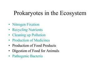 Prokaryotes in the Ecosystem Nitrogen Fixation Recycling Nutrients Cleaning up Pollution Production of Medicines Production of Food Products Digestion of Food for Animals Pathogenic Bacteria 