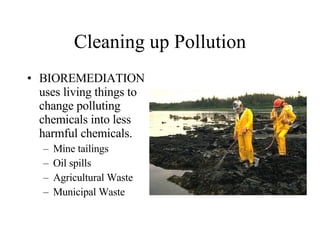 Cleaning up Pollution BIOREMEDIATION uses living things to change polluting chemicals into less harmful chemicals. Mine tailings Oil spills Agricultural Waste Municipal Waste 
