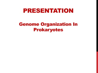 PRESENTATION
Genome Organization In
Prokaryotes
 