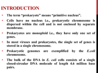 INTRODUCTION
• The term “prokaryote” means “primitive nucleus”.
• Cells have no nucleus i.e., prokaryotic chromosome is
dispersed within the cell and is not enclosed by separate
membrane.
• Prokaryotes are monoploid i.e., they have only one set of
genes.
• In most viruses and prokaryotes, the single set of genes is
stored in a single chromosome.
• Prokaryotic genomes are exemplified by the E.coli
chromosome.
• The bulk of the DNA in E. coli cells consists of a single
closed-circular DNA molecule of length 4.6 million base
pairs.
 