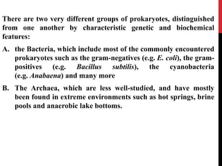 There are two very different groups of prokaryotes, distinguished
from one another by characteristic genetic and biochemical
features:
A. the Bacteria, which include most of the commonly encountered
prokaryotes such as the gram-negatives (e.g. E. coli), the gram-
positives (e.g. Bacillus subtilis), the cyanobacteria
(e.g. Anabaena) and many more
B. The Archaea, which are less well-studied, and have mostly
been found in extreme environments such as hot springs, brine
pools and anaerobic lake bottoms.
 