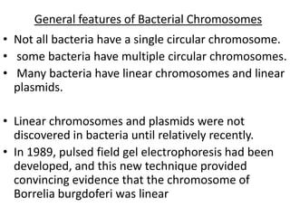 General features of Bacterial Chromosomes
• Not all bacteria have a single circular chromosome.
• some bacteria have multiple circular chromosomes.
• Many bacteria have linear chromosomes and linear
  plasmids.

• Linear chromosomes and plasmids were not
  discovered in bacteria until relatively recently.
• In 1989, pulsed field gel electrophoresis had been
  developed, and this new technique provided
  convincing evidence that the chromosome of
  Borrelia burgdoferi was linear
 