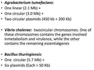 •   Agrobacterium tumefacians:
•   One linear (2.1 Mb) +
•   One circular (3.0 Mb) +
•   Two circular plasmids (450 kb + 200 Kb)

• Vibrio cholerae: twocircular chromosomes. One of
  these chromosomes contains the genes involved
  inmetabolism and virulence, while the other
  contains the remaining essentialgenes

• Bacillus thuringiensis:
• One circular (5.7 Mb) +
• Six plasmids (Each > 50 Kb)
 