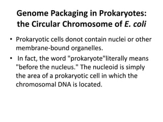 Genome Packaging in Prokaryotes:
  the Circular Chromosome of E. coli
• Prokaryotic cells donot contain nuclei or other
  membrane-bound organelles.
• In fact, the word "prokaryote"literally means
  "before the nucleus." The nucleoid is simply
  the area of a prokaryotic cell in which the
  chromosomal DNA is located.
 