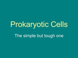 Prokaryotic Cells The simple but tough one 