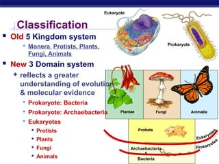 AP Biology
Archaebacteria
&
Bacteria
Classification
 Old 5 Kingdom system
 Monera, Protists, Plants,
Fungi, Animals
 New 3 Domain system
 reflects a greater
understanding of evolution
& molecular evidence
 Prokaryote: Bacteria
 Prokaryote: Archaebacteria
 Eukaryotes
 Protists
 Plants
 Fungi
 Animals
Prokaryote
Eukaryote
 