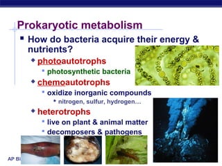 Prokaryotic metabolism 
 How do bacteria acquire their energy & 
nutrients? 
 photoautotrophs 
AP Biology 
 photosynthetic bacteria 
 chemoautotrophs 
 oxidize inorganic compounds 
 nitrogen, sulfur, hydrogen… 
 heterotrophs 
 live on plant & animal matter 
 decomposers & pathogens 
 