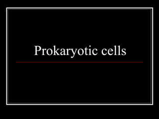 Prokaryotic cells
 