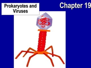 Prokaryotes and Viruses 