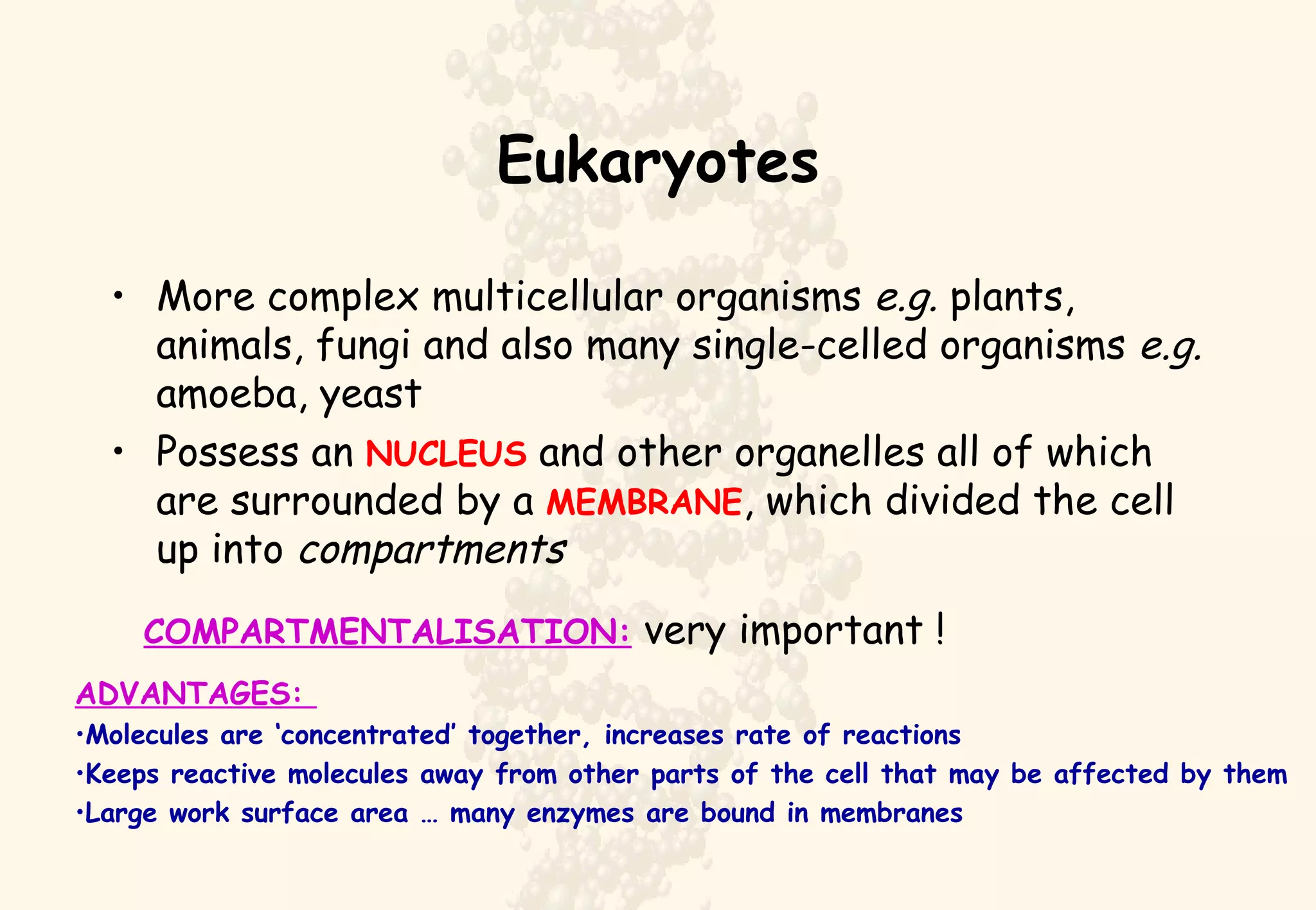 Eukaryotes More complex multicellular organisms  e.g.  plants, animals, fungi and also many single-celled organisms  e.g.  amoeba, yeast Possess an  NUCLEUS  and other organelles all of which are surrounded by a  MEMBRANE , which divided the cell up into  compartments COMPARTMENTALISATION:  very important ! ADVANTAGES:  Molecules are ‘concentrated’ together, increases rate of reactions Keeps reactive molecules away from other parts of the cell that may be affected by them Large work surface area … many enzymes are bound in membranes 