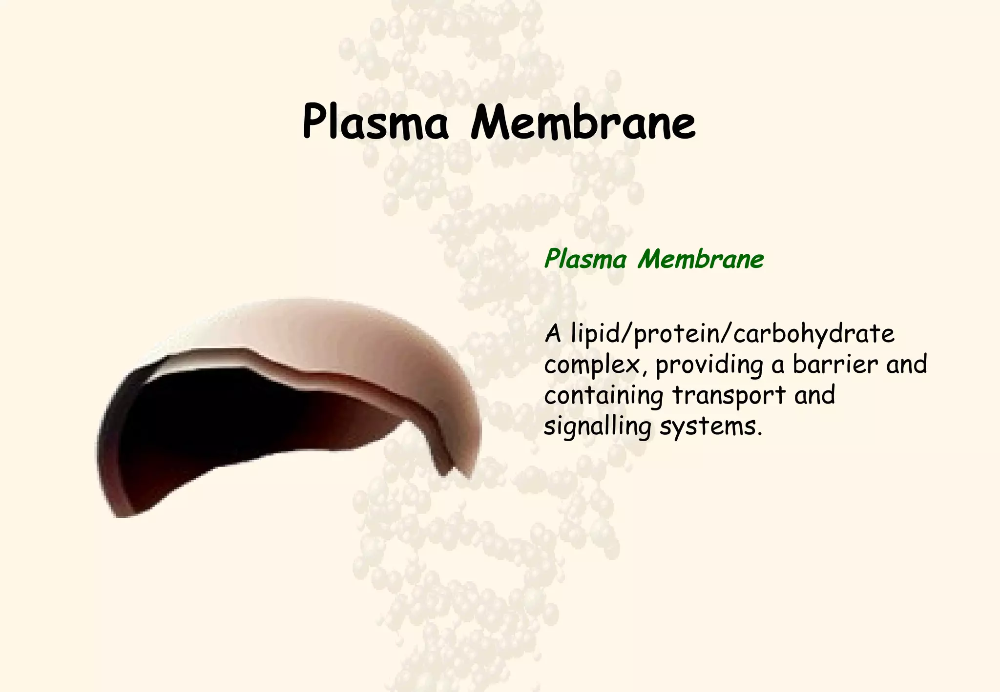 Plasma Membrane Plasma Membrane A lipid/protein/carbohydrate complex, providing a barrier and containing transport and signalling systems.  
