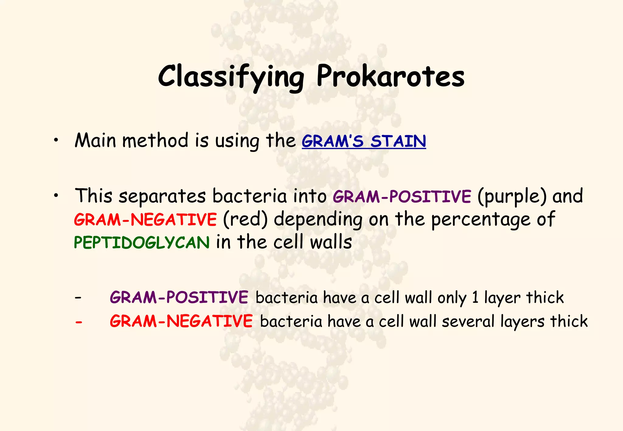 Classifying Prokarotes Main method is using the  GRAM’S STAIN This separates bacteria into  GRAM-POSITIVE  (purple) and  GRAM-NEGATIVE  (red) depending on the percentage of  PEPTIDOGLYCAN  in the cell walls  - GRAM-POSITIVE  bacteria have a cell wall only 1 layer thick - GRAM-NEGATIVE   bacteria have a cell wall several layers thick 