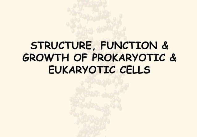 Prokaryotes vs Eukaryotes | PPT | Biological Sciences | Science