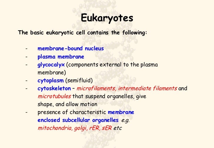 Prokaryotes vs Eukaryotes