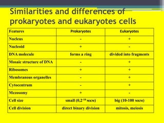 Prokaryotes and eukaryotes | PPTX