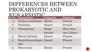 Sr. No Characteristic Prokaryotic Eukaryotic
1. Nuclear membrane Absent Present
2. Nucleolus Absent Present
3. Chromosome Single
circular
More than
one, Linear
4. Mitotic division Absent Present
5. Deoxyribonucleopro
tein
Absent Present
6. Pinocytosis Absent Present
 