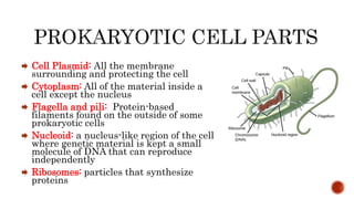  Cell Plasmid: All the membrane
surrounding and protecting the cell
 Cytoplasm: All of the material inside a
cell except the nucleus
 Flagella and pili: Protein-based
filaments found on the outside of some
prokaryotic cells
 Nucleoid: a nucleus-like region of the cell
where genetic material is kept a small
molecule of DNA that can reproduce
independently
 Ribosomes: particles that synthesize
proteins
 