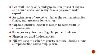  Cell wall: made of peptidoglycan, comprised of sugars
and amino acids, and many have a polysaccharide
capsule
 An extra layer of protection, helps the cell maintain its
shape, and prevents dehydration.
 Capsule: enables the cell to attach to surfaces in its
environment.
 Some prokaryotes have flagella, pili, or fimbriae.
 Flagella are used for locomotion,
 Pili are used to exchange genetic material during a type
of reproduction called conjugation.
 