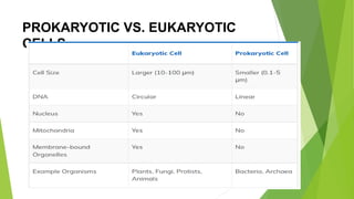 PROKARYOTIC VS. EUKARYOTIC
CELLS
 