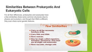 Similarities Between Prokaryotic And
Eukaryotic Cells
For all their differences, prokaryotes and eukaryotes have
a few similarities share some common structures (due to
physics and evolution), and though their DNA is different,
they even share some genetic features.
 