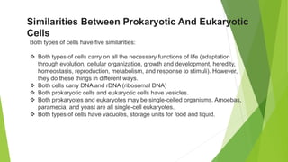 Both types of cells have five similarities:
 Both types of cells carry on all the necessary functions of life (adaptation
through evolution, cellular organization, growth and development, heredity,
homeostasis, reproduction, metabolism, and response to stimuli). However,
they do these things in different ways.
 Both cells carry DNA and rDNA (ribosomal DNA)
 Both prokaryotic cells and eukaryotic cells have vesicles.
 Both prokaryotes and eukaryotes may be single-celled organisms. Amoebas,
paramecia, and yeast are all single-cell eukaryotes.
 Both types of cells have vacuoles, storage units for food and liquid.
Similarities Between Prokaryotic And Eukaryotic
Cells
 