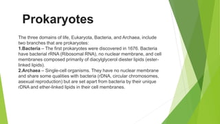 The three domains of life, Eukaryota, Bacteria, and Archaea, include
two branches that are prokaryotes:
1.Bacteria – The first prokaryotes were discovered in 1676. Bacteria
have bacterial rRNA (Ribosomal RNA), no nuclear membrane, and cell
membranes composed primarily of diacylglycerol diester lipids (ester-
linked lipids).
2.Archaea – Single-cell organisms. They have no nuclear membrane
and share some qualities with bacteria (rDNA, circular chromosomes,
asexual reproduction) but are set apart from bacteria by their unique
rDNA and ether-linked lipids in their cell membranes.
Prokaryotes
 