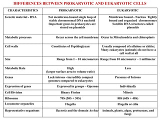 prokaryotes and eukaryotes cell and organisms | PPTX