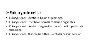 prokaryotes and eukaryotes cells chapter.pdf