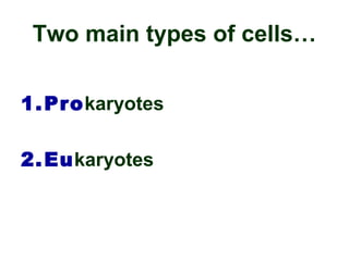 Prokaryotes and eukaryotes key | PPT