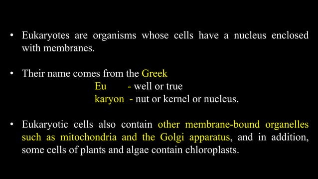 Prokaryotes and eukaryotes powerpoint | PPT | Biological Sciences | Science