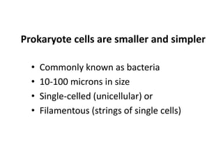 Prokaryote cells are smaller and simpler
• Commonly known as bacteria
• 10-100 microns in size
• Single-celled (unicellular) or
• Filamentous (strings of single cells)
 