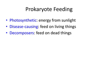 Prokaryote Feeding
• Photosynthetic: energy from sunlight
• Disease-causing: feed on living things
• Decomposers: feed on dead things
 