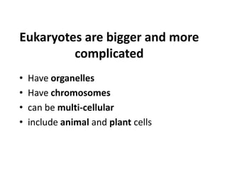 Eukaryotes are bigger and more
complicated
• Have organelles
• Have chromosomes
• can be multi-cellular
• include animal and plant cells
 