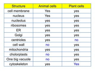 Structure Animal cells Plant cells
cell membrane Yes yes
nucleus Yes yes
nucleolus yes yes
ribosomes yes yes
ER yes yes
Golgi yes yes
centrioles yes no
cell wall no yes
mitochondria yes yes
cholorplasts no yes
One big vacuole no yes
cytoskeleton yes Yes
 