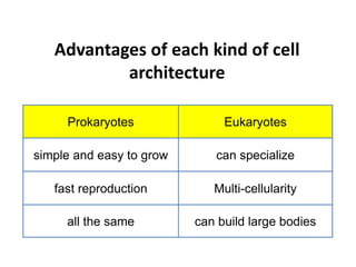 Advantages of each kind of cell
architecture
Prokaryotes Eukaryotes
simple and easy to grow can specialize
fast reproduction Multi-cellularity
all the same can build large bodies
 