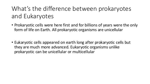 bacteria animal and plant cells bacteria animal and plant cell venn diagram