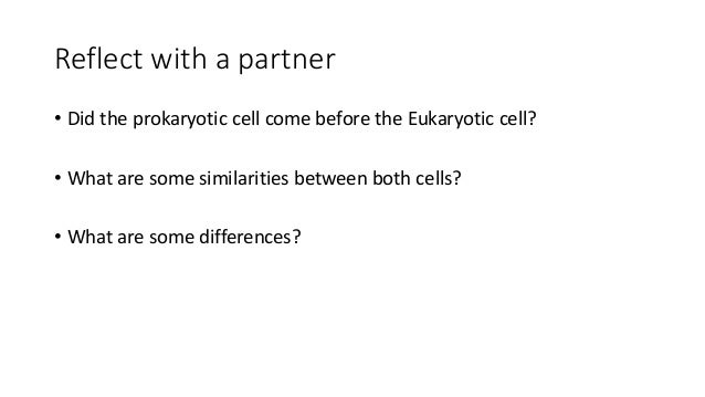 bacteria animal and plant cells bacteria plant and animal cell venn diagram