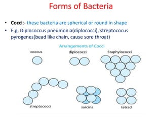 Forms of Bacteria
• Cocci:- these bacteria are spherical or round in shape
• E.g. Diplococcus pneumonia(diplococci), streptococus
pyrogenes(bead like chain, cause sore throat)
 