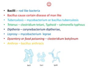 
• Bacilli :- rod like bacteria
• Bacillus cause certain disease of man like
• Tuberculosis – mycobacterium or bacillus tuberculosis
• Tetanus – clostridium tetani, Typhoid – salmonella typhous
• Diptheria – corynebacterium diptheriae,
• Leprosy – mycobacterium leprae
• Dysentery or food poisoning – closteridium botylinum
• Anthrax – bacillus anthracis
 