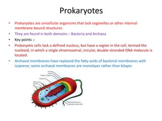 Prokaryotes
• Prokaryotes are unicellular organisms that lack organelles or other internal
membrane-bound structures
• They are found in both domains – Bacteria and Archaea
• Key points :-
• Prokaryotic cells lack a defined nucleus, but have a region in the cell, termed the
nucleoid, in which a single chromosomal, circular, double-stranded DNA molecule is
located.
• Archaeal membranes have replaced the fatty acids of bacterial membranes with
isoprene; some archaeal membranes are monolayer rather than bilayer.
 