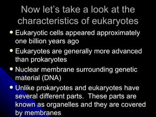 Shapes of Prokaryotes Cocci = spherical (round) Bacillus = (rod shaped) Spirilla = helical (spiral) 