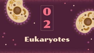 0
2
Eukaryotes
 