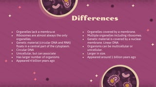 ● Organelles lack a membrane
● Ribosomes are almost always the only
organelles.
● Genetic material (circular DNA and RNA)
floats in a central part of the cytoplasm.
● Circular DNA
● Unicellular, but can associate
● Has larger number of organisms
● Appeared 4 billion years ago
Differences
● Organelles covered by a membrane.
● Multiple organelles including ribosomes.
● Genetic material is covered by a nuclear
membrane. Linear DNA
● Organisms can be multicellular or
unicellular.
● Larger in size.
● Appeared around 1 billion years ago
 