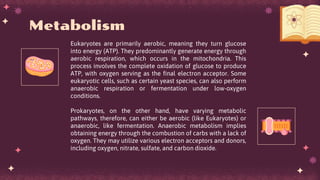 Eukaryotes are primarily aerobic, meaning they turn glucose
into energy (ATP). They predominantly generate energy through
aerobic respiration, which occurs in the mitochondria. This
process involves the complete oxidation of glucose to produce
ATP, with oxygen serving as the final electron acceptor. Some
eukaryotic cells, such as certain yeast species, can also perform
anaerobic respiration or fermentation under low-oxygen
conditions.
Prokaryotes, on the other hand, have varying metabolic
pathways, therefore, can either be aerobic (like Eukaryotes) or
anaerobic, like fermentation. Anaerobic metabolism implies
obtaining energy through the combustion of carbs with a lack of
oxygen. They may utilize various electron acceptors and donors,
including oxygen, nitrate, sulfate, and carbon dioxide.
Metabolism
 