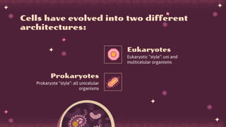 Prokaryote “style”: all unicelular
organisms
Eukaryotic “style”: uni and
multicelular organisms
Cells have evolved into two different
architectures:
Prokaryotes
Eukaryotes
 