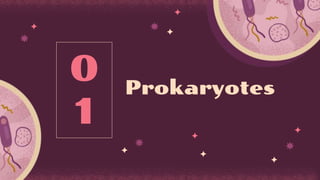 Prokaryotes
0
1
 